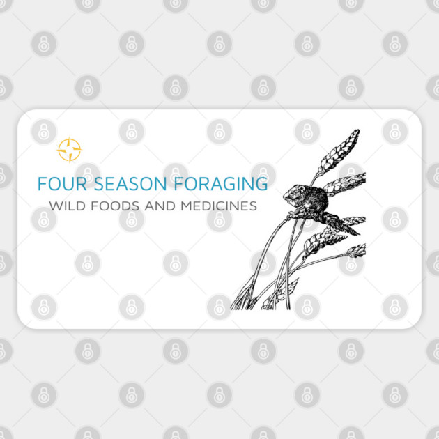 Four Season Foraging Mouse Sticker by Four Season Foraging
