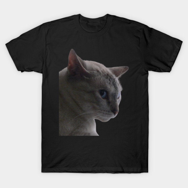 Kitty in a bad mood T-Shirt by SG-Nogalte