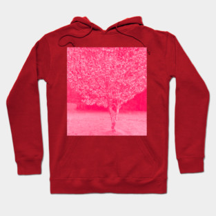 Cherry Blossoms Japanese Cherry Tree Hoodie