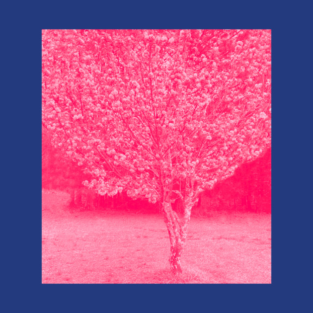 Cherry Blossoms Japanese Cherry Tree by DonWillisJrArt