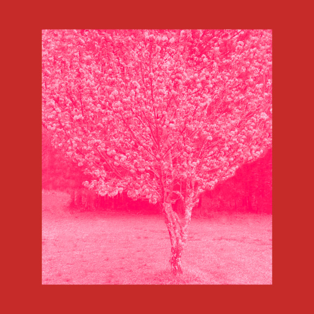 Cherry Blossoms Japanese Cherry Tree by DonWillisJrArt