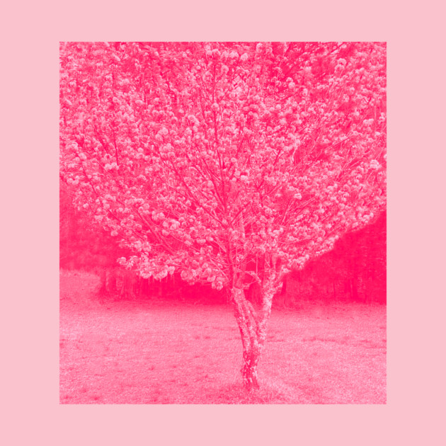 Cherry Blossoms Japanese Cherry Tree by DonWillisJrArt