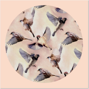 Sparrow Flight Posters and Art