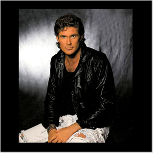 The Hoff Posters and Art