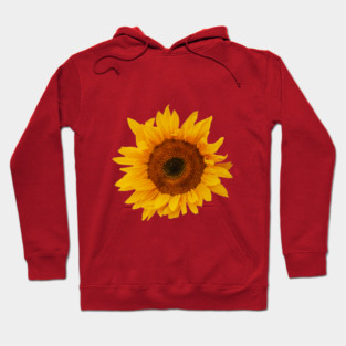 A flower with the Sun on its face Hoodie