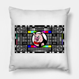 THE CHOLESTEROL MIND: TV TEST Pillow