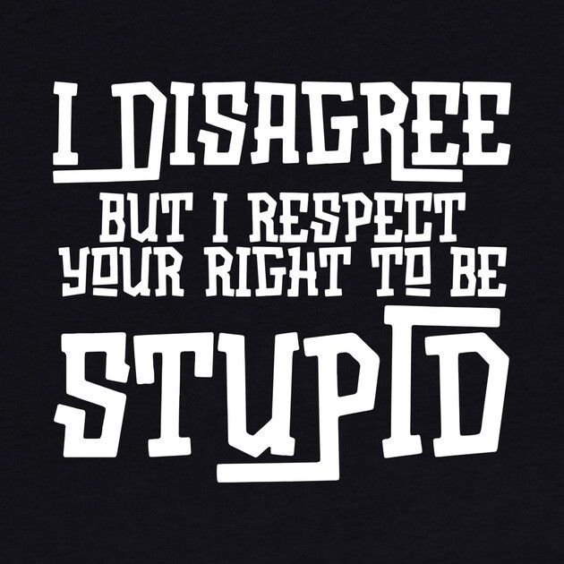 I Disagree But I Respect Your Right To Be Stupid by The WYLD Tribe