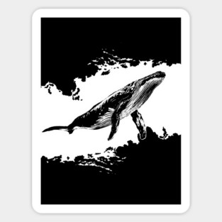 Whale Sticker