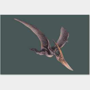 Pterodactyl Posters and Art