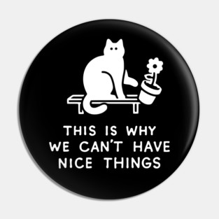 THIS IS WHY WE CAN'T HAVE NICE THINGS Pin