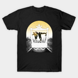 Phish Sleeping Monkey T-Shirt