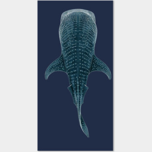 Whale Shark Posters and Art