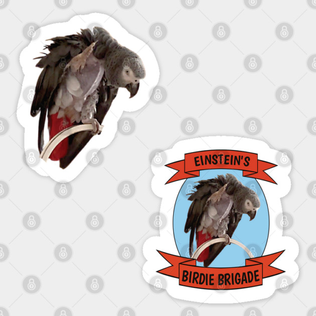Einstein Parrot Sticker Pack Duo - Bare Chest Sticker by Einstein Parrot
