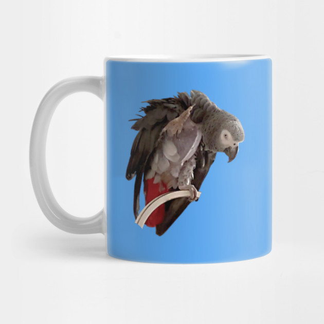 Einstein African Grey Parrot Waving, Bare Chest by Einstein Parrot