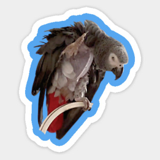 Einstein African Grey Parrot Waving, Bare Chest Magnet