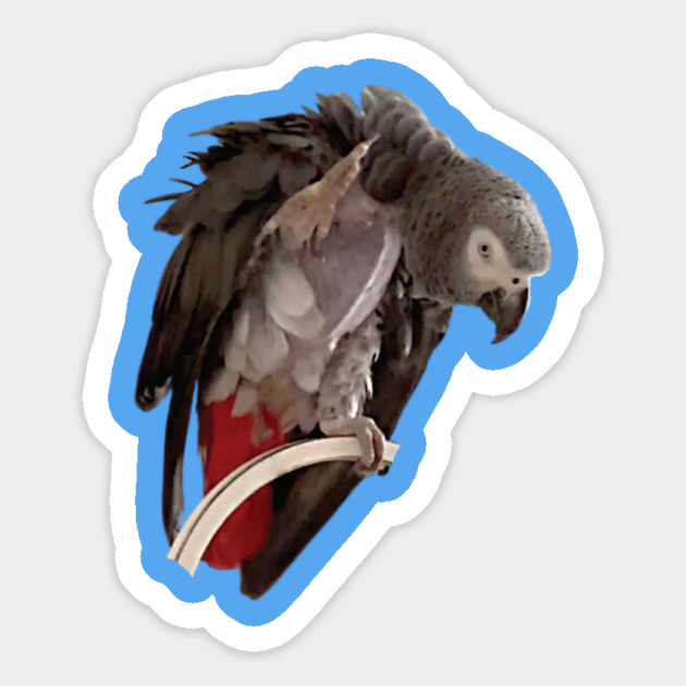 Einstein African Grey Parrot Waving, Bare Chest Magnet by Einstein Parrot
