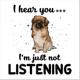 Tibetan Spaniel I hear you Iam just not listening Posters and Art