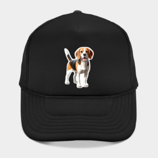 Beagle Hat