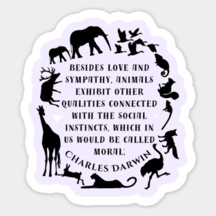 Charles Darwin  quote: Besides love and sympathy, animals exhibit other qualities connected with the social instincts, which in us would be called moral; Sticker