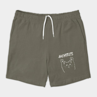 architects and the cat Shorts