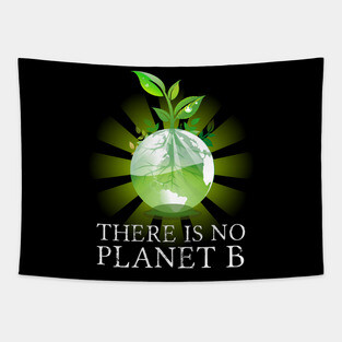 There Is No Planet B - Climate Change Action Tapestry