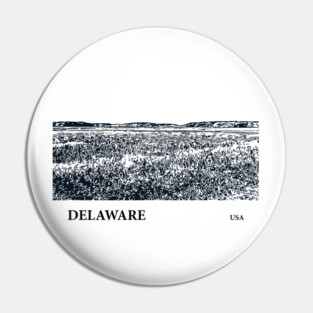 Delaware USA Pin