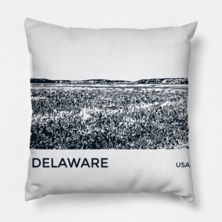 Delaware USA Pillow