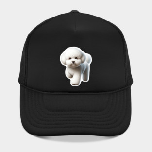 Bichon Frise Hat