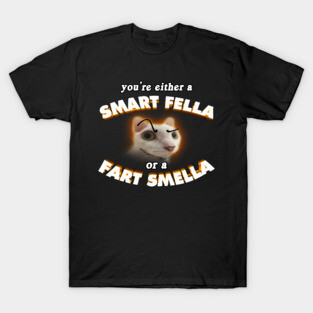 Smart Fella Cat Meme T-Shirt
