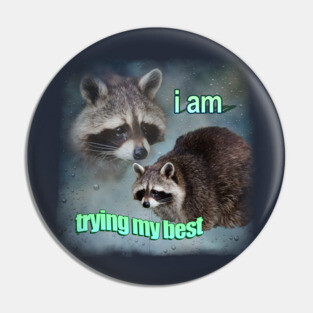 Trying Raccoon Meme Pin