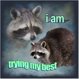 Trying Raccoon Meme Posters and Art
