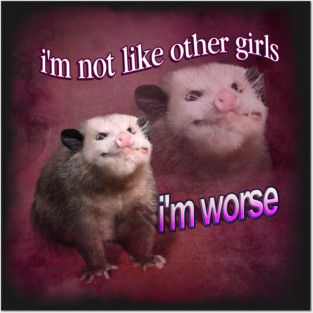 Possum Meme Posters and Art