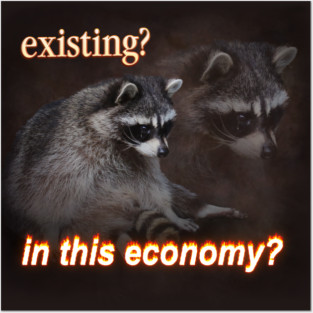 Economy Raccoon Meme Posters and Art