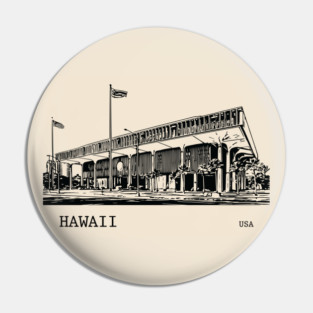 Hawaii State USA Pin