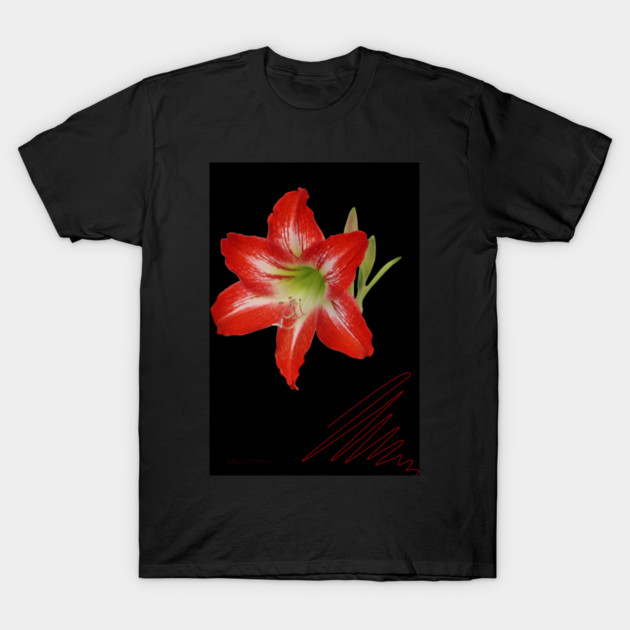 Red Lily on Black Digital Art T-Shirt by ButterflyInTheAttic