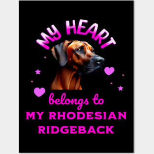 My Heart Belongs to my Rhodesian Ridgeback Posters and Art