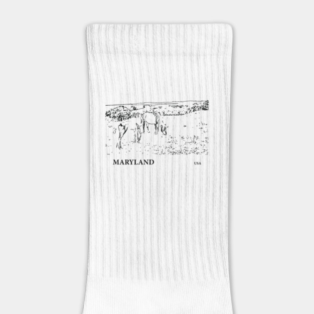 Maryland USA by Lakeric