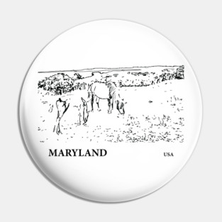 Maryland USA Pin