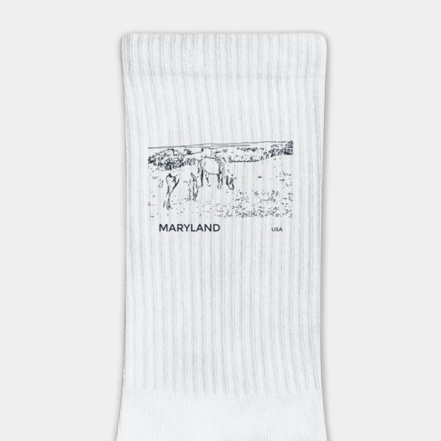 Maryland USA by Lakeric