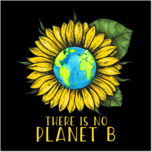 The Is No Planet B Save Earth Posters and Art
