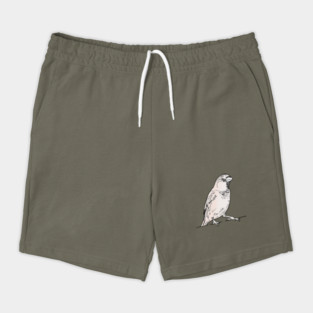 Sparrow Shorts