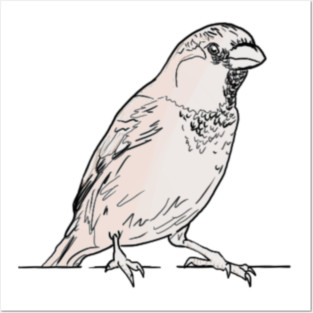 Sparrow Posters and Art