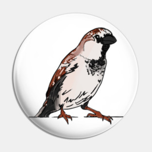 House sparrow Pin
