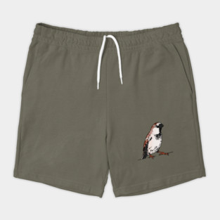 House sparrow Shorts