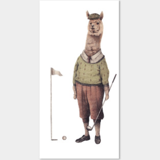 Alpaca Golf Club Posters and Art