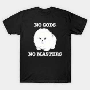 No Gods, No Masters (white) T-Shirt