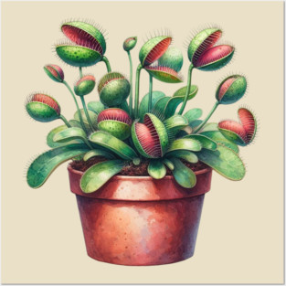 Venus Flytrap Watercolor Botanical Posters and Art