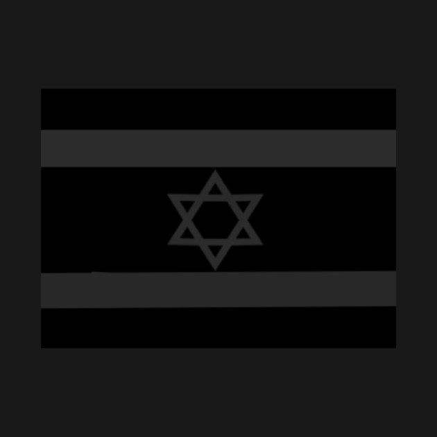 Fightwing Jewish Diaspora Flag by JDL USA
