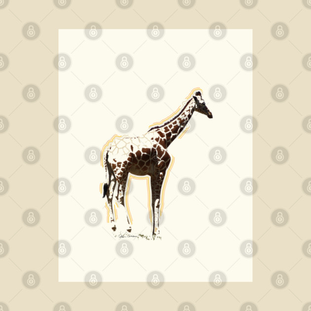 Giraffe Fading by ButterflyInTheAttic