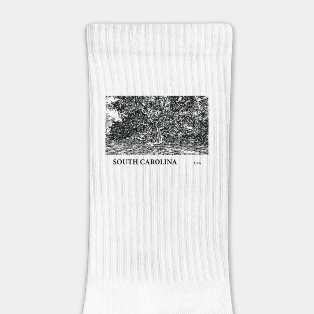 South Carolina USA by Lakeric